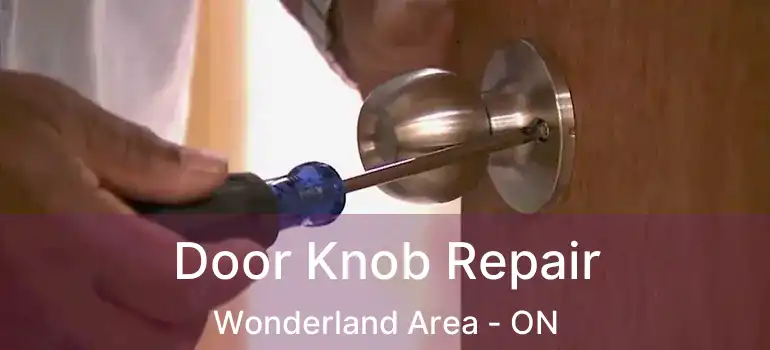  Door Knob Repair Wonderland Area - ON