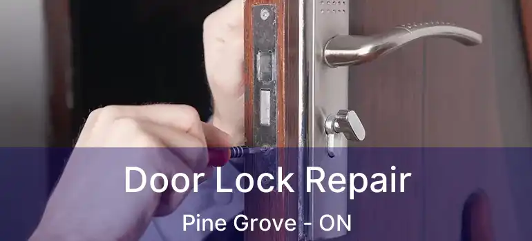  Door Lock Repair Pine Grove - ON