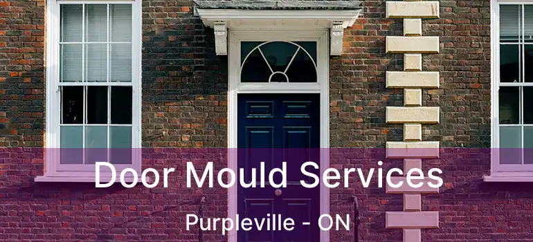  Door Mould Services Purpleville - ON