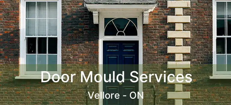  Door Mould Services Vellore - ON