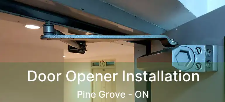  Door Opener Installation Pine Grove - ON