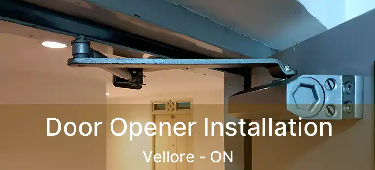  Door Opener Installation Vellore - ON