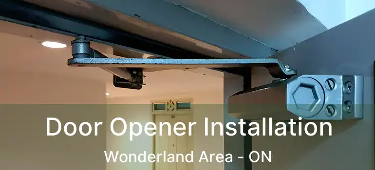  Door Opener Installation Wonderland Area - ON
