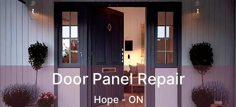  Door Panel Repair Hope - ON