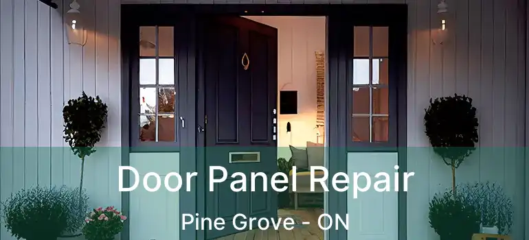  Door Panel Repair Pine Grove - ON