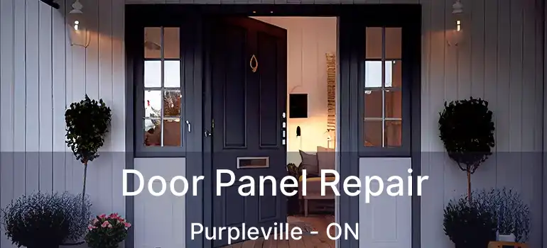  Door Panel Repair Purpleville - ON
