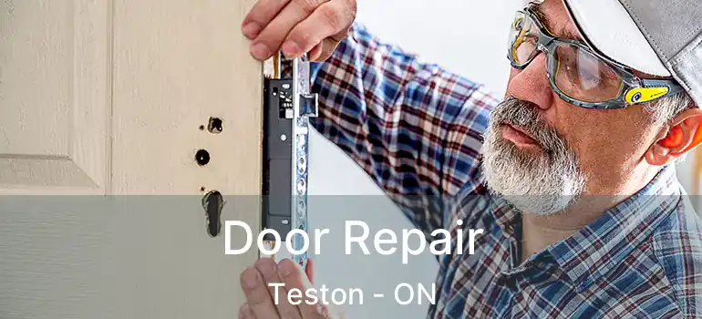 Door Repair Teston - ON