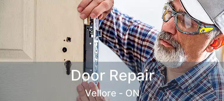  Door Repair Vellore - ON