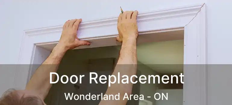  Door Replacement Wonderland Area - ON