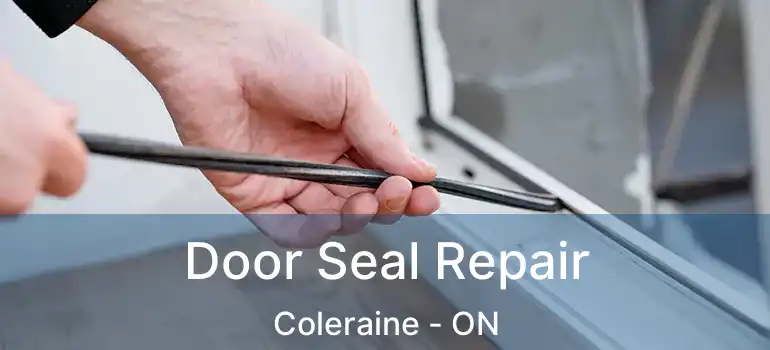  Door Seal Repair Coleraine - ON