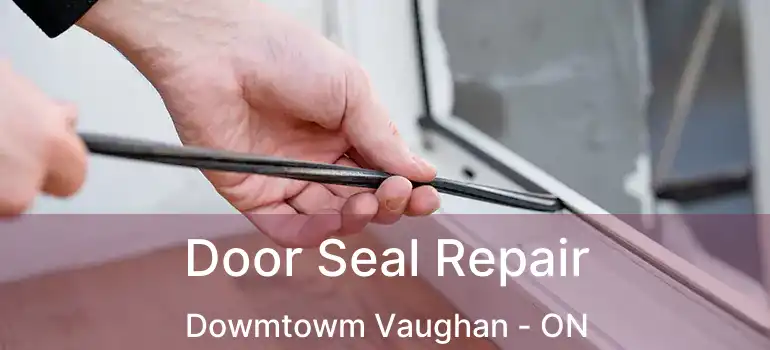 Door Seal Repair Dowmtowm Vaughan - ON
