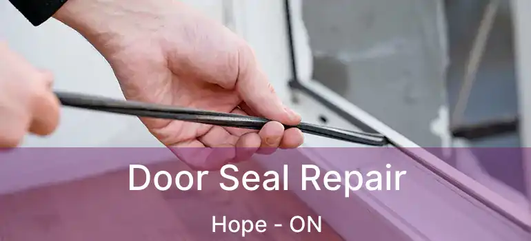  Door Seal Repair Hope - ON