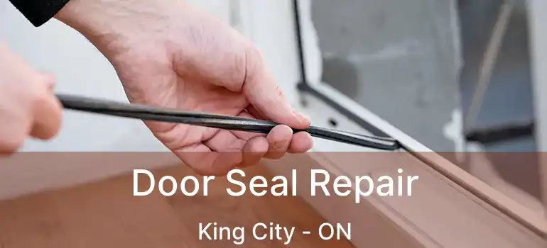  Door Seal Repair King City - ON