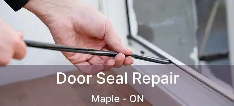  Door Seal Repair Maple - ON