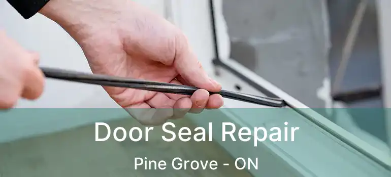  Door Seal Repair Pine Grove - ON