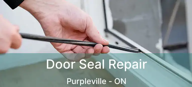  Door Seal Repair Purpleville - ON