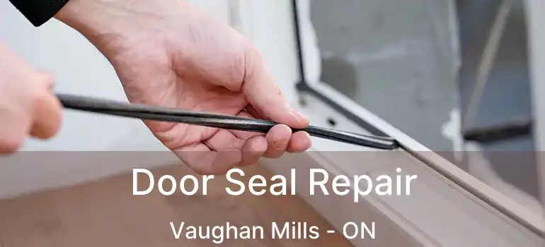  Door Seal Repair Vaughan Mills - ON