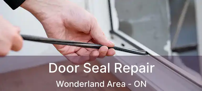  Door Seal Repair Wonderland Area - ON