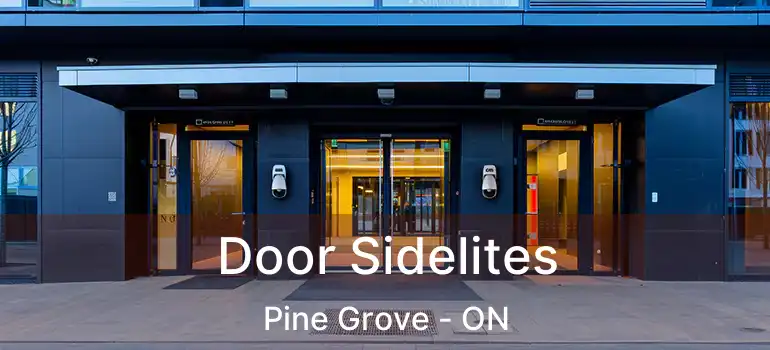  Door Sidelites Pine Grove - ON