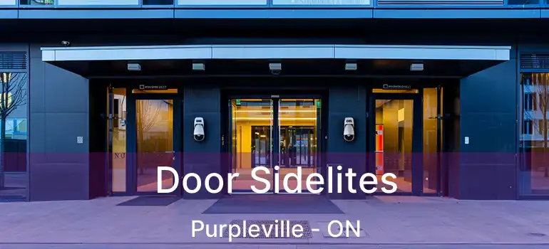  Door Sidelites Purpleville - ON