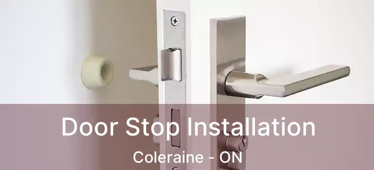  Door Stop Installation Coleraine - ON