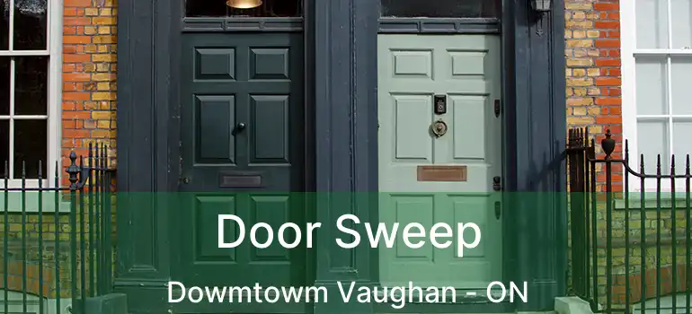  Door Sweep Dowmtowm Vaughan - ON