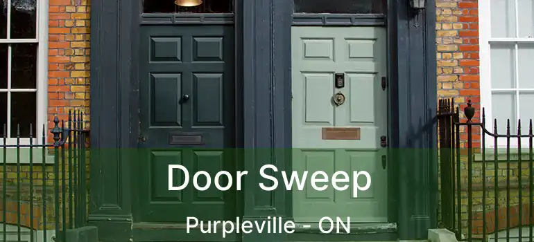  Door Sweep Purpleville - ON