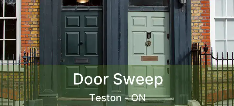  Door Sweep Teston - ON