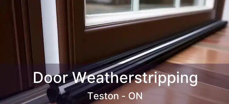  Door Weatherstripping Teston - ON