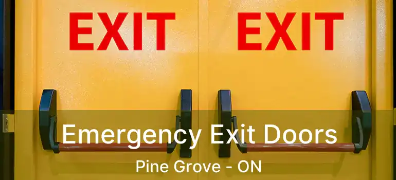  Emergency Exit Doors Pine Grove - ON