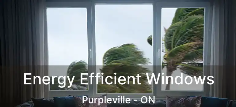  Energy Efficient Windows Purpleville - ON