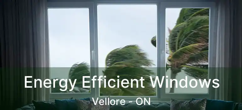  Energy Efficient Windows Vellore - ON