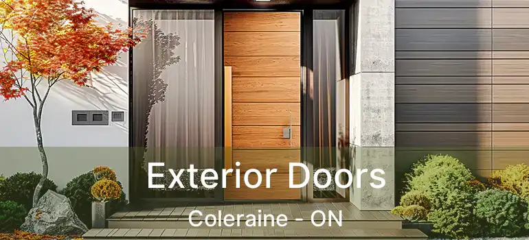  Exterior Doors Coleraine - ON