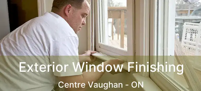  Exterior Window Finishing Centre Vaughan - ON