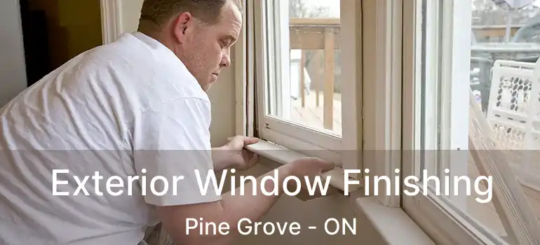  Exterior Window Finishing Pine Grove - ON