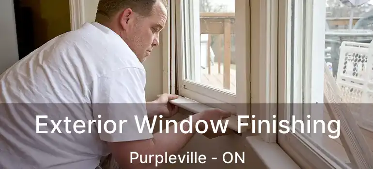  Exterior Window Finishing Purpleville - ON