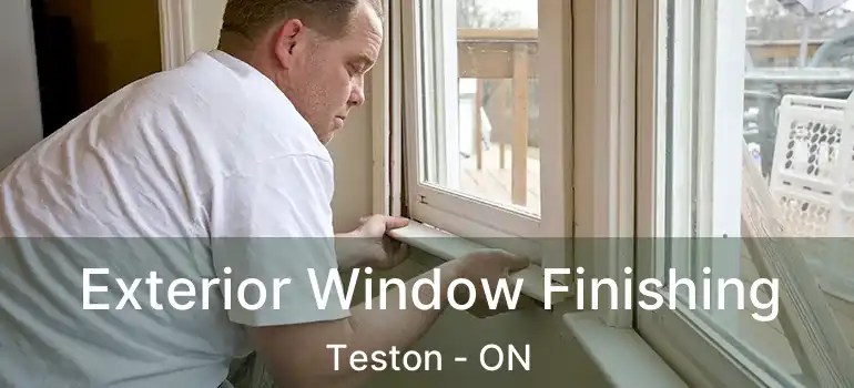  Exterior Window Finishing Teston - ON