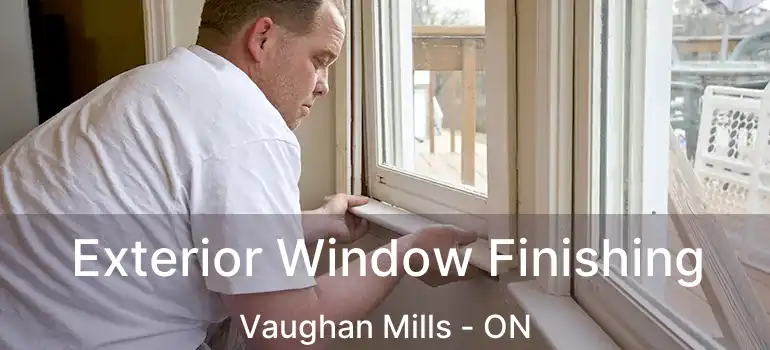  Exterior Window Finishing Vaughan Mills - ON