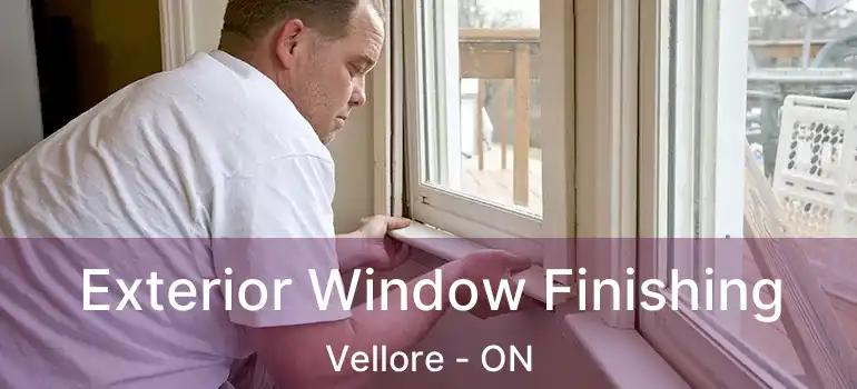  Exterior Window Finishing Vellore - ON