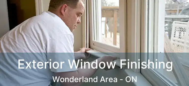  Exterior Window Finishing Wonderland Area - ON