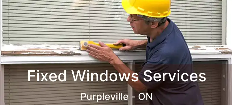  Fixed Windows Services Purpleville - ON