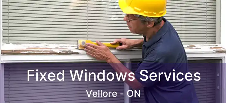  Fixed Windows Services Vellore - ON