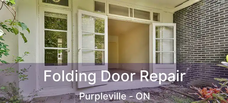  Folding Door Repair Purpleville - ON