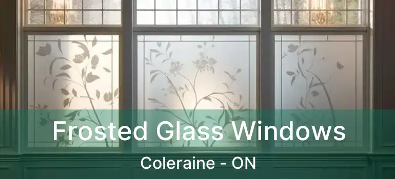  Frosted Glass Windows Coleraine - ON