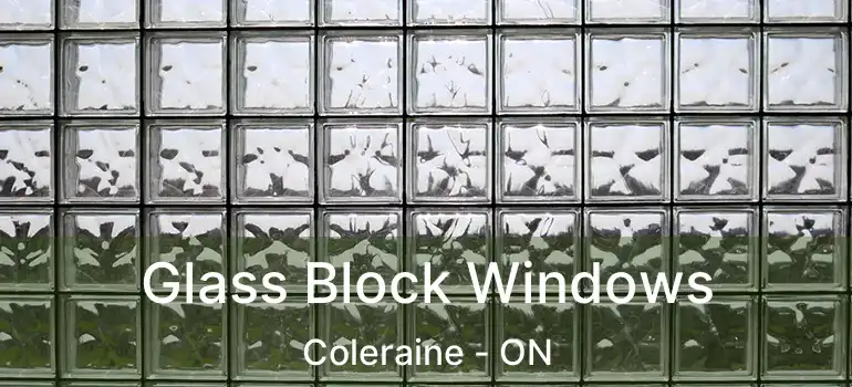  Glass Block Windows Coleraine - ON