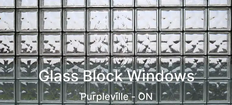  Glass Block Windows Purpleville - ON