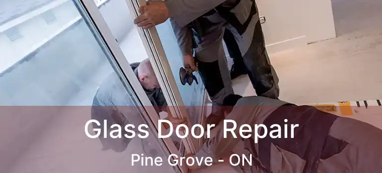  Glass Door Repair Pine Grove - ON