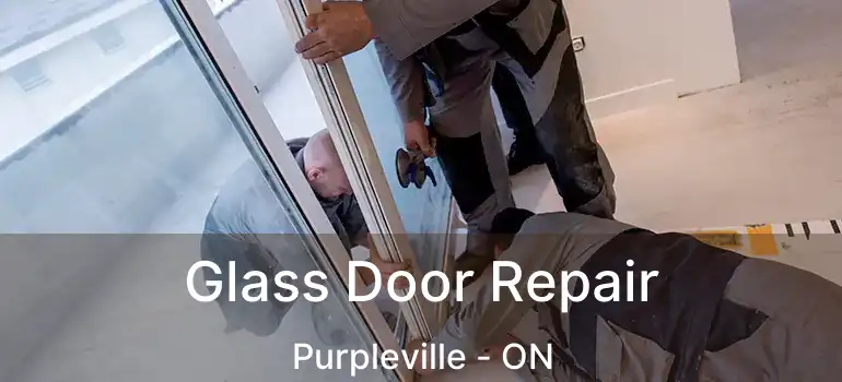  Glass Door Repair Purpleville - ON