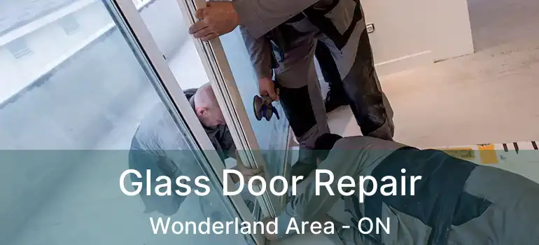  Glass Door Repair Wonderland Area - ON