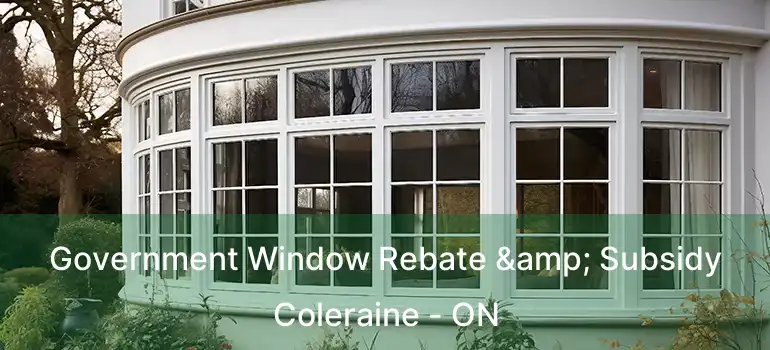  Government Window Rebate & Subsidy Coleraine - ON